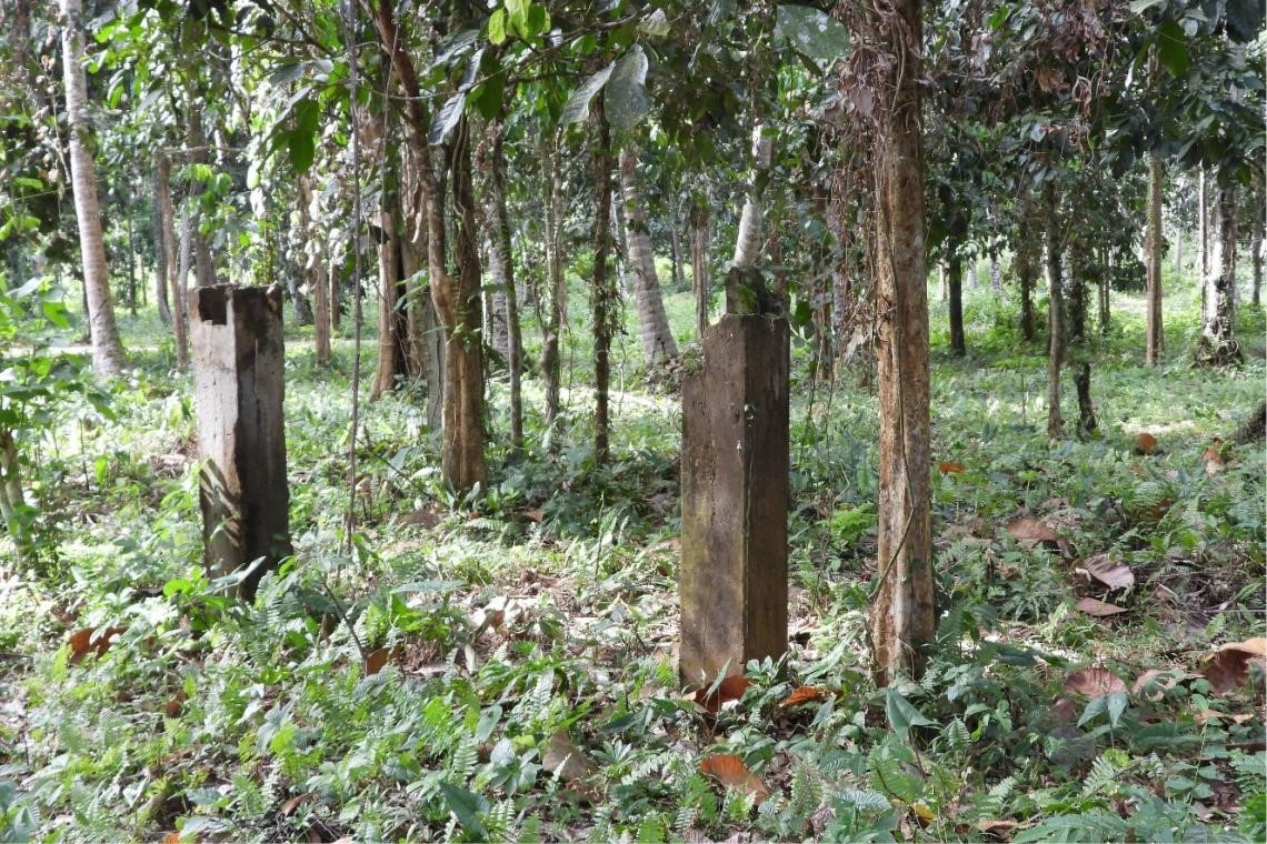 Ruins of Astana Darul Jambangan, the sultanate’s ancestral seat, in Jolo