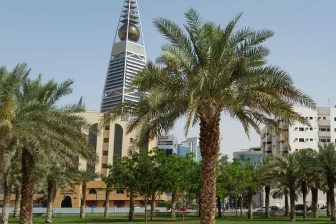 A Saudi family's fight over a prominent businessman's estate drew funding from litigation financier Therium Capital